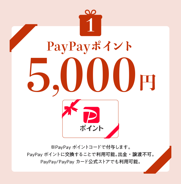 PayPay|Cg