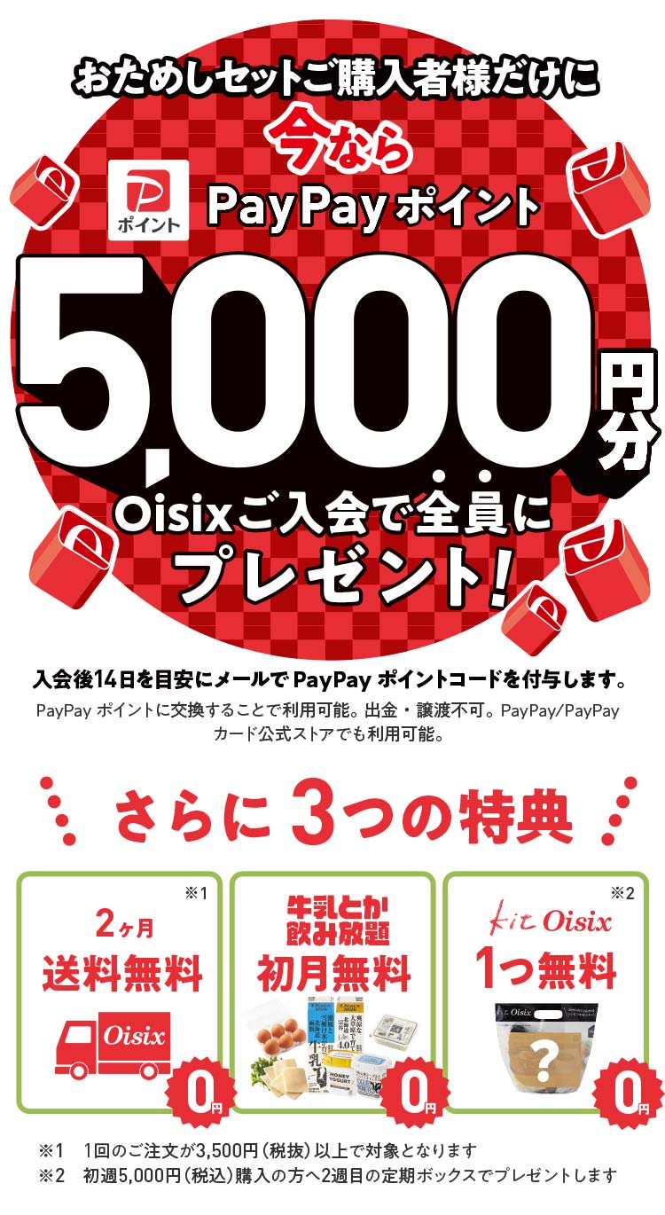 PayPayポイントプレゼント