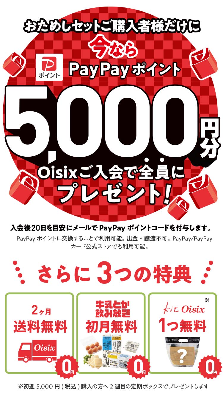 PayPay|Cgv[g