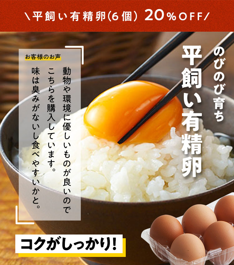 平飼い有精卵