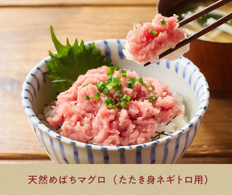 天然めばちマグロ