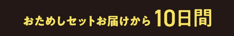 ߂Zbg͂10Ԍ