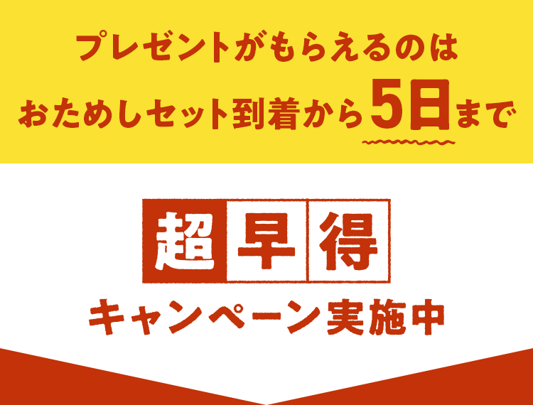 プレゼントがもらえるのはおためしお届け5日まで