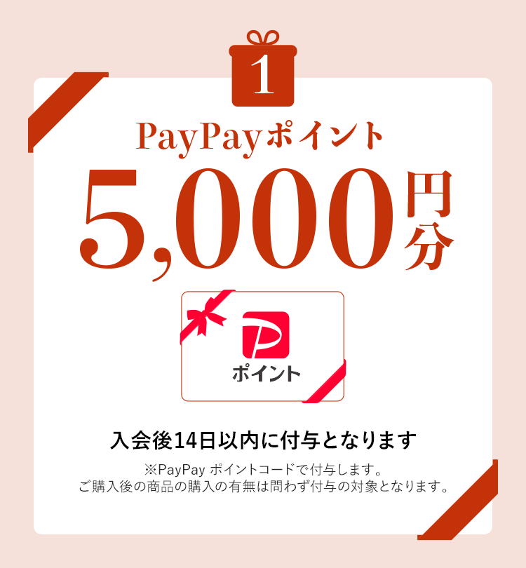 PayPay|Cg