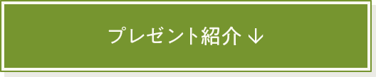 v[gЉ