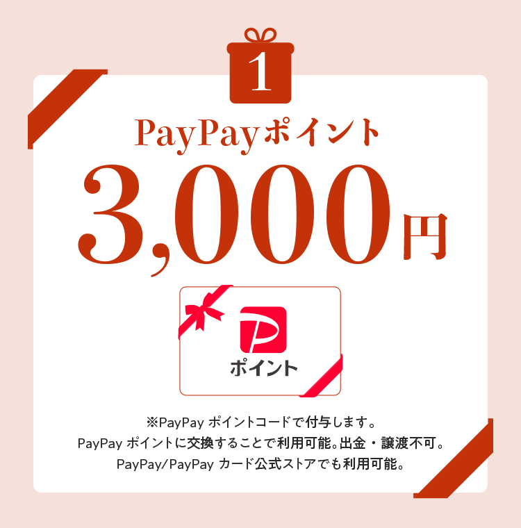 PayPay|Cg
