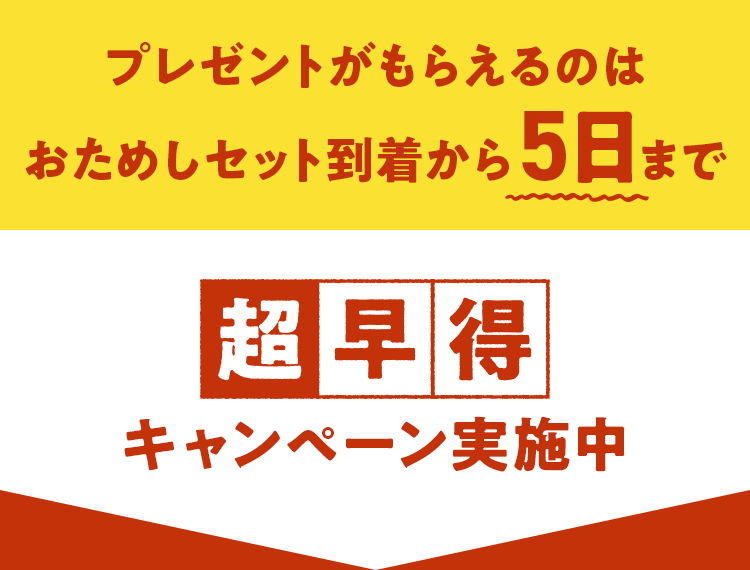 �v���[���g�����炦��̂͂����߂����͂�5���܂�