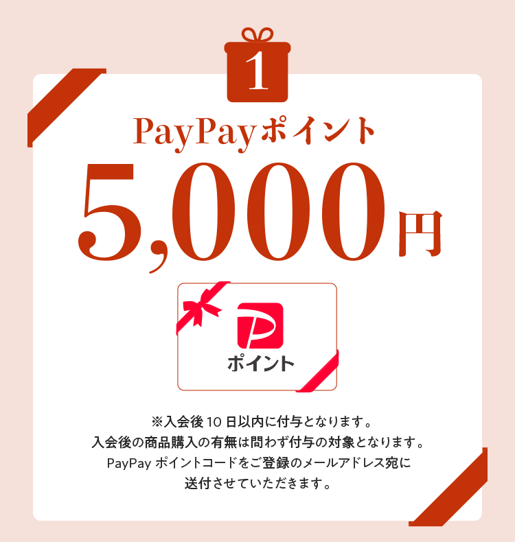 PayPay|Cg