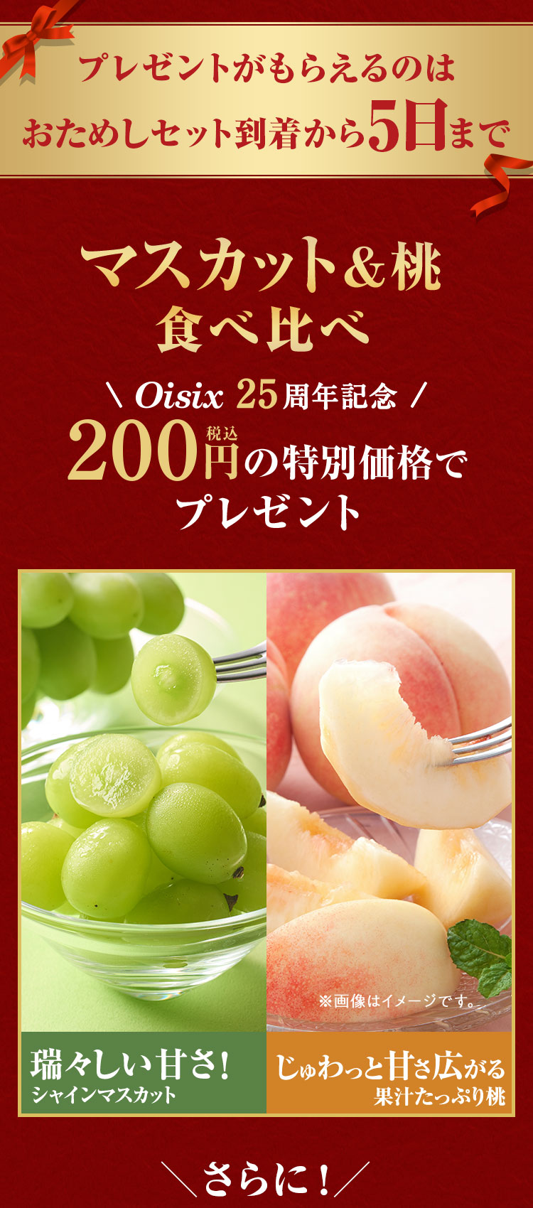 おためしお届け5日までのキャンペーン
