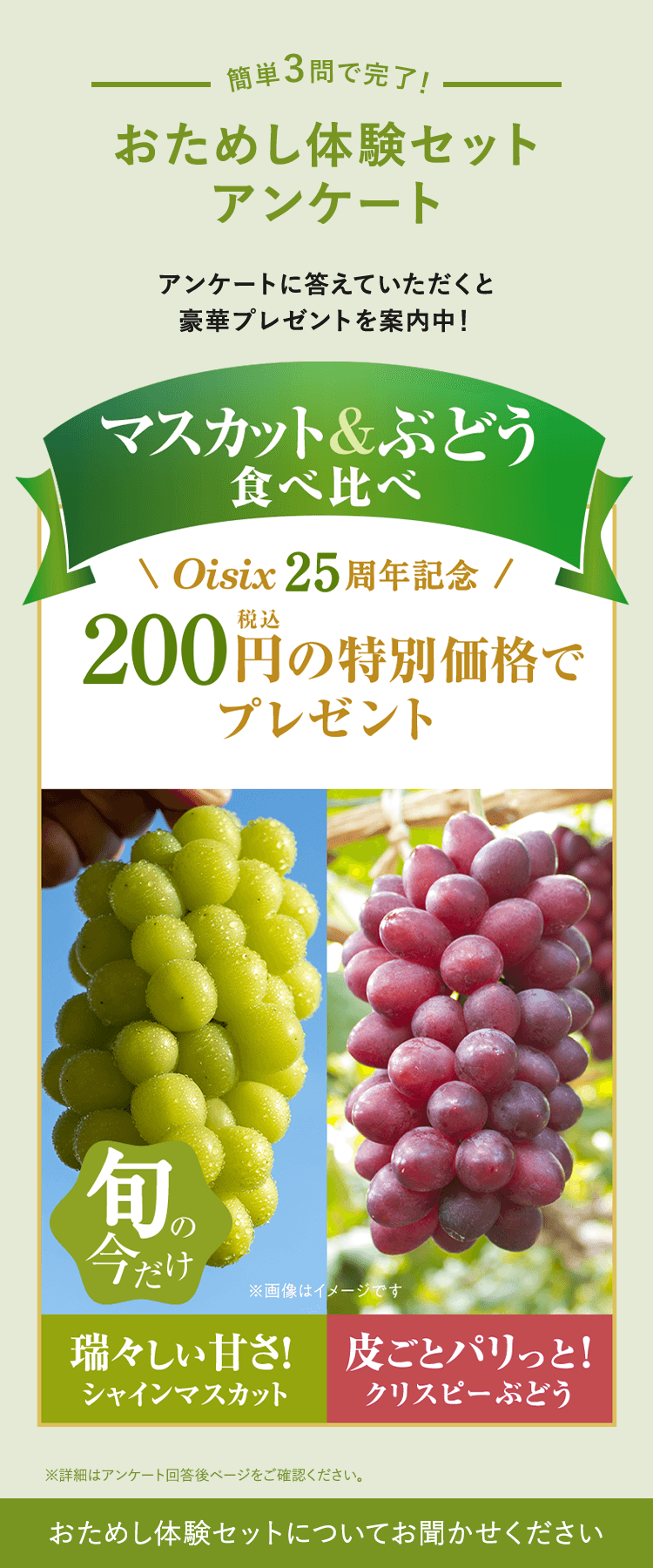 ߂̌ZbgAP[g