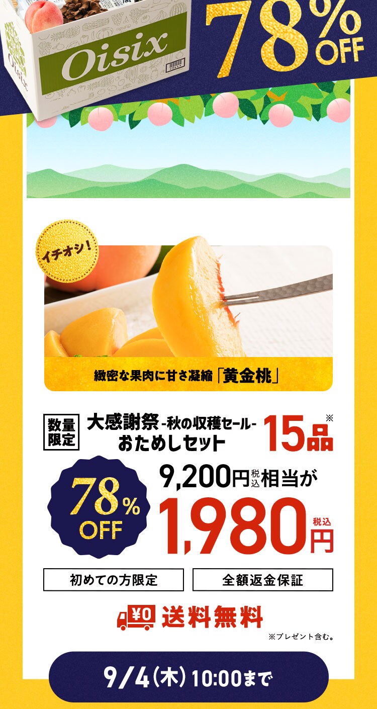 ʌ肨߂Zbg