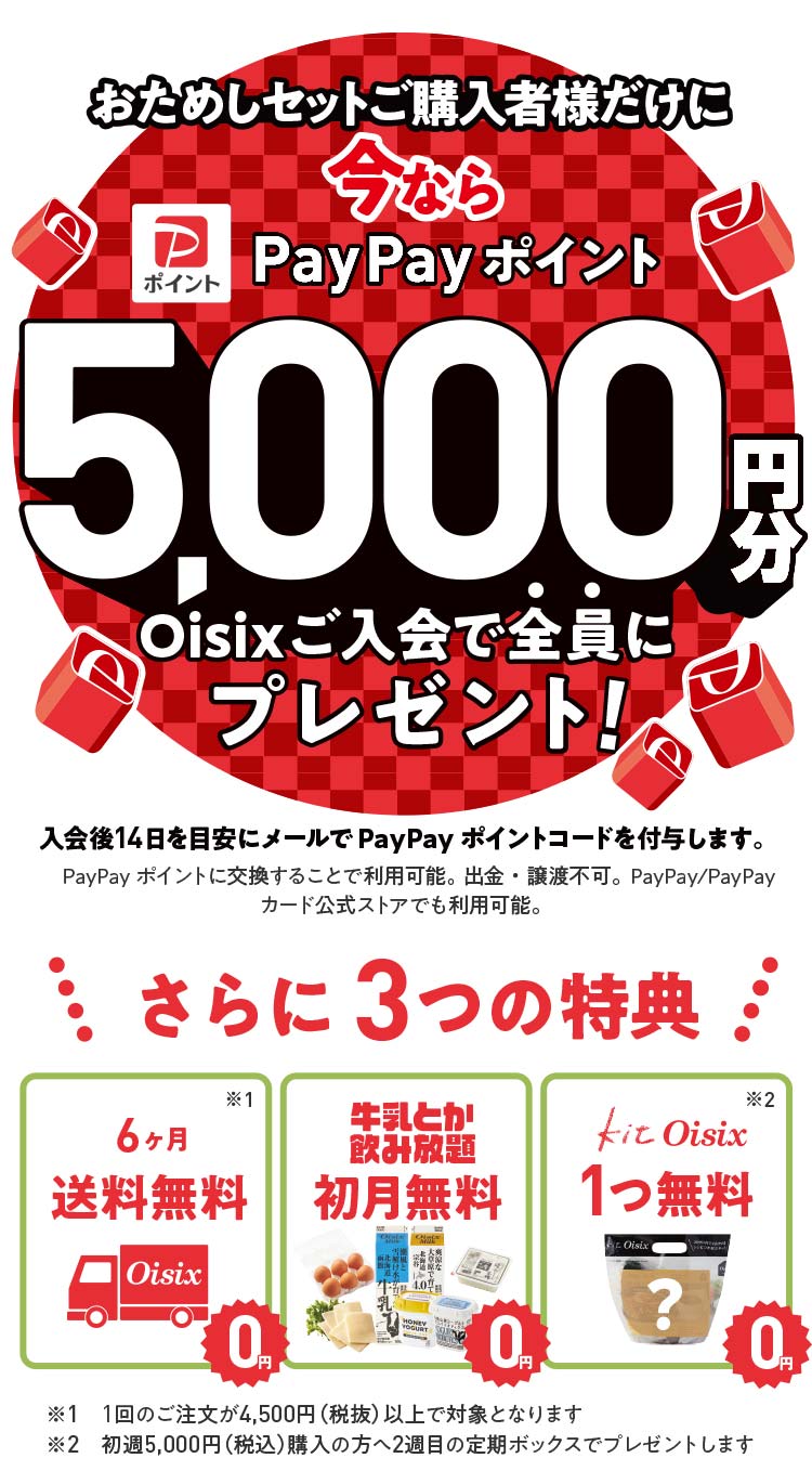 PayPay�|�C���g�v���[���g