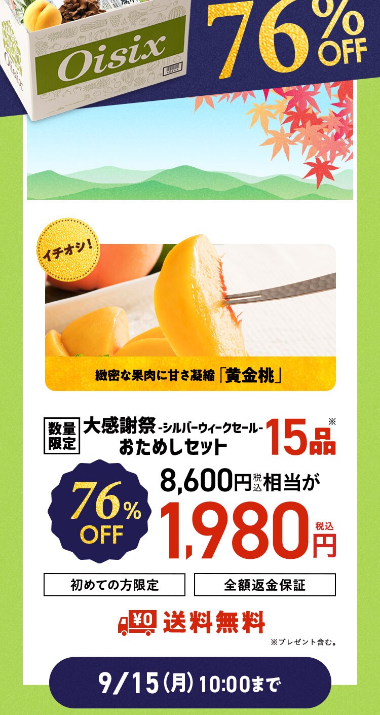 ʌ肨߂Zbg