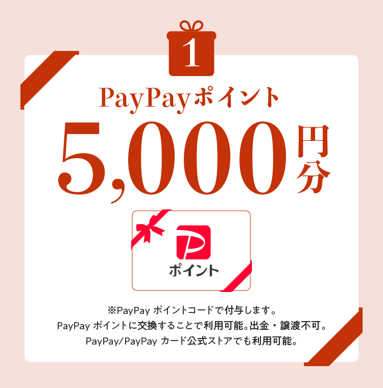 PayPay�|�C���g