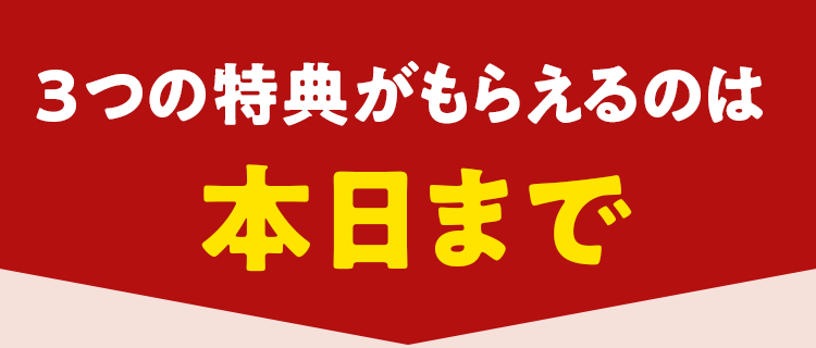 �{���ŏI��