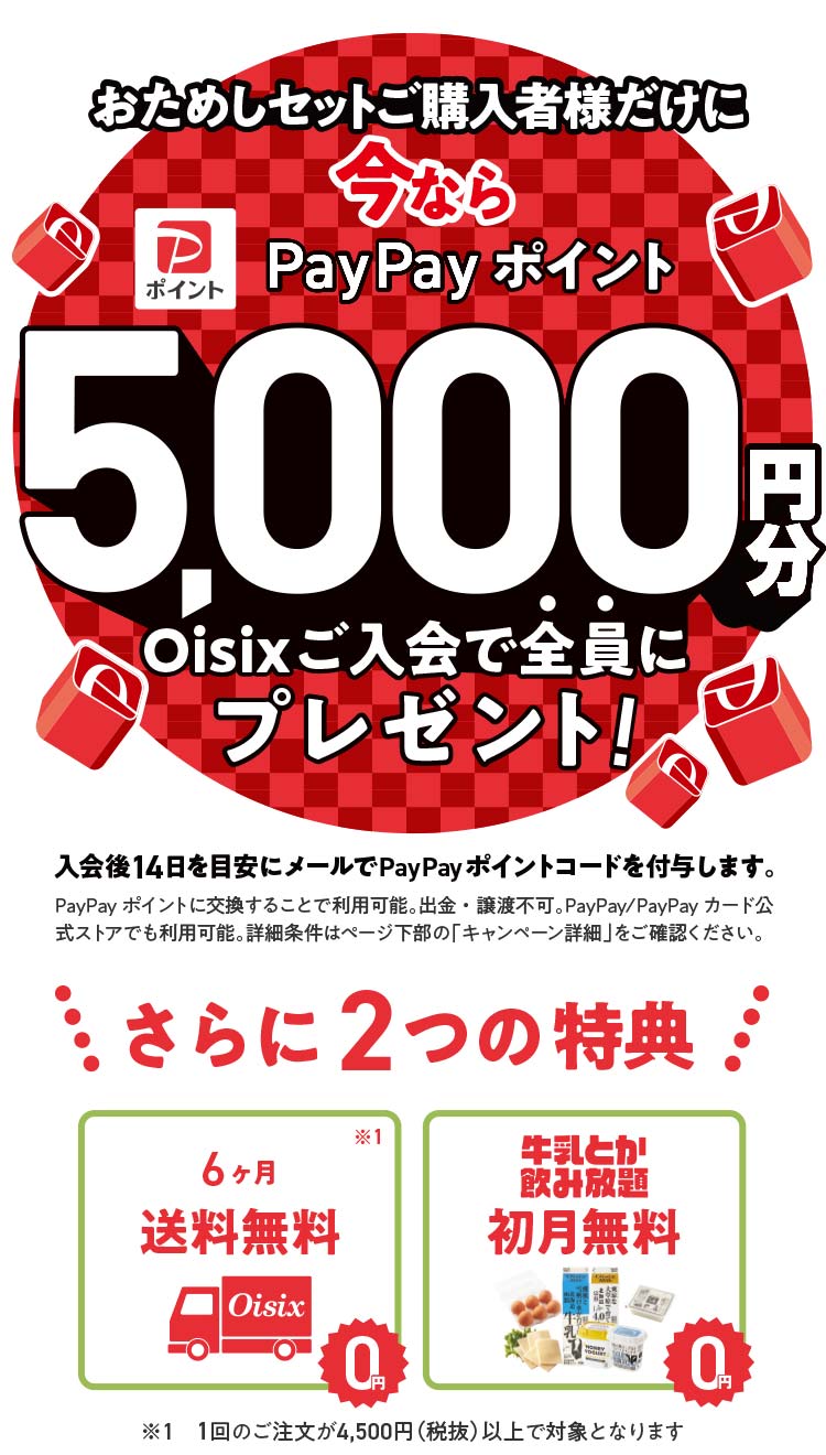 PayPayポイントプレゼント