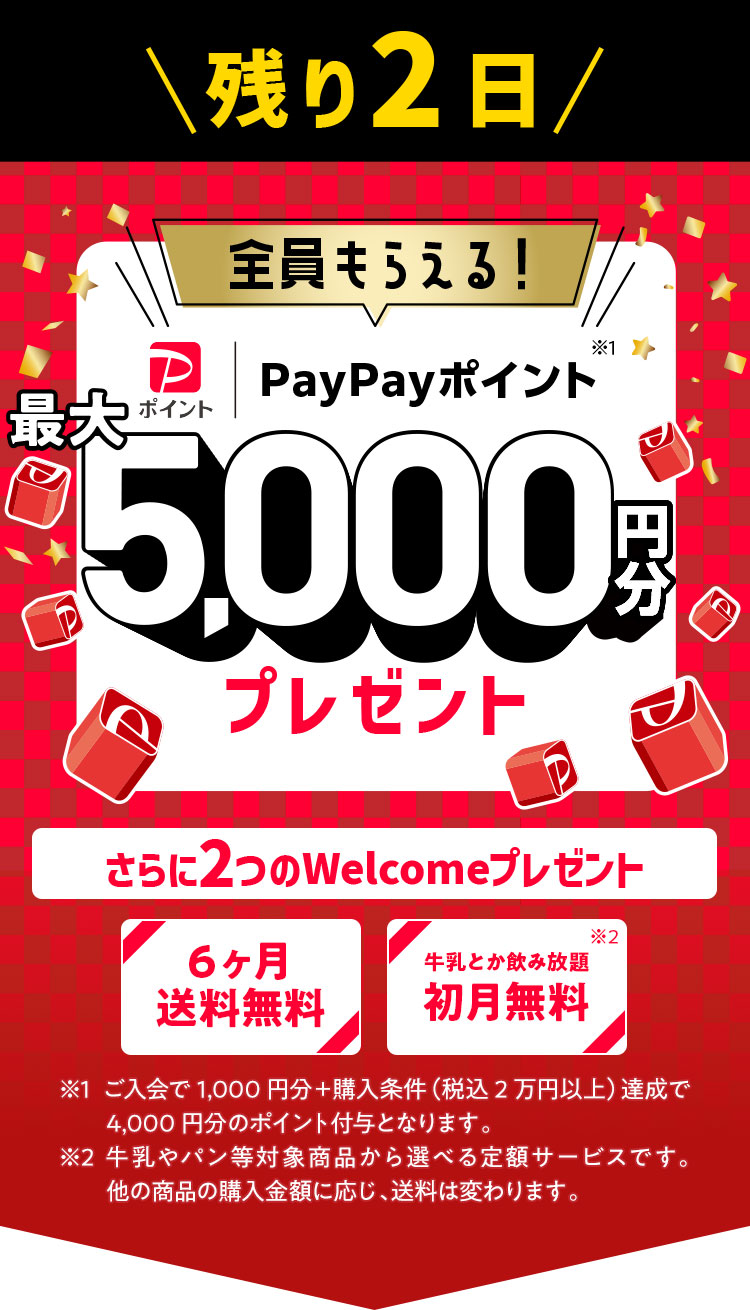 OisixPayPay|CgK炦