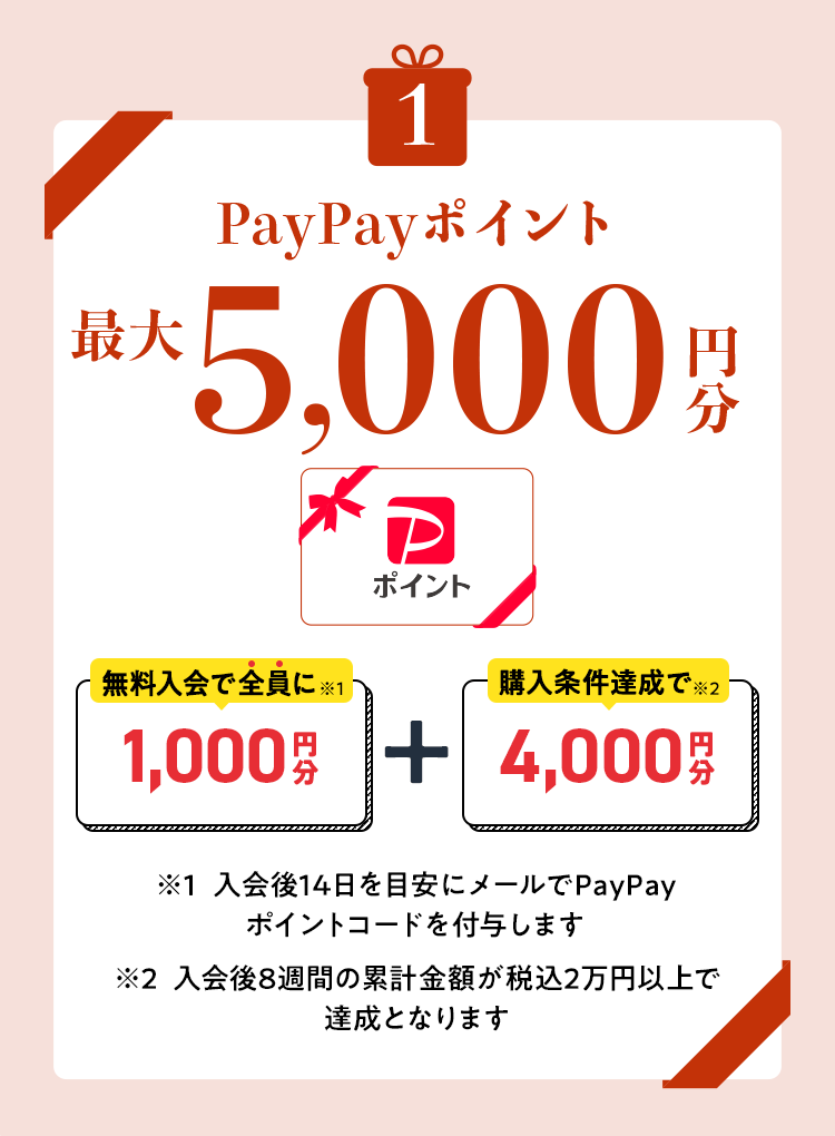 PayPay|Cg