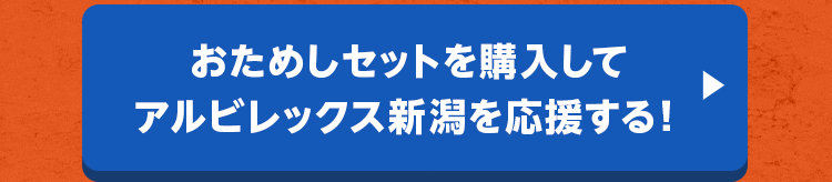 Vۂ߂Zbgw