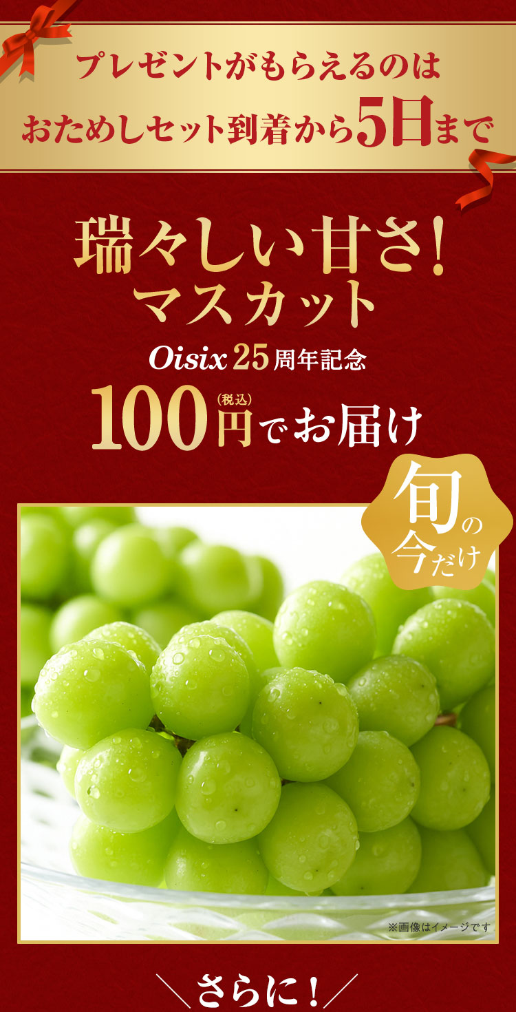 おためしお届け5日までのキャンペーン