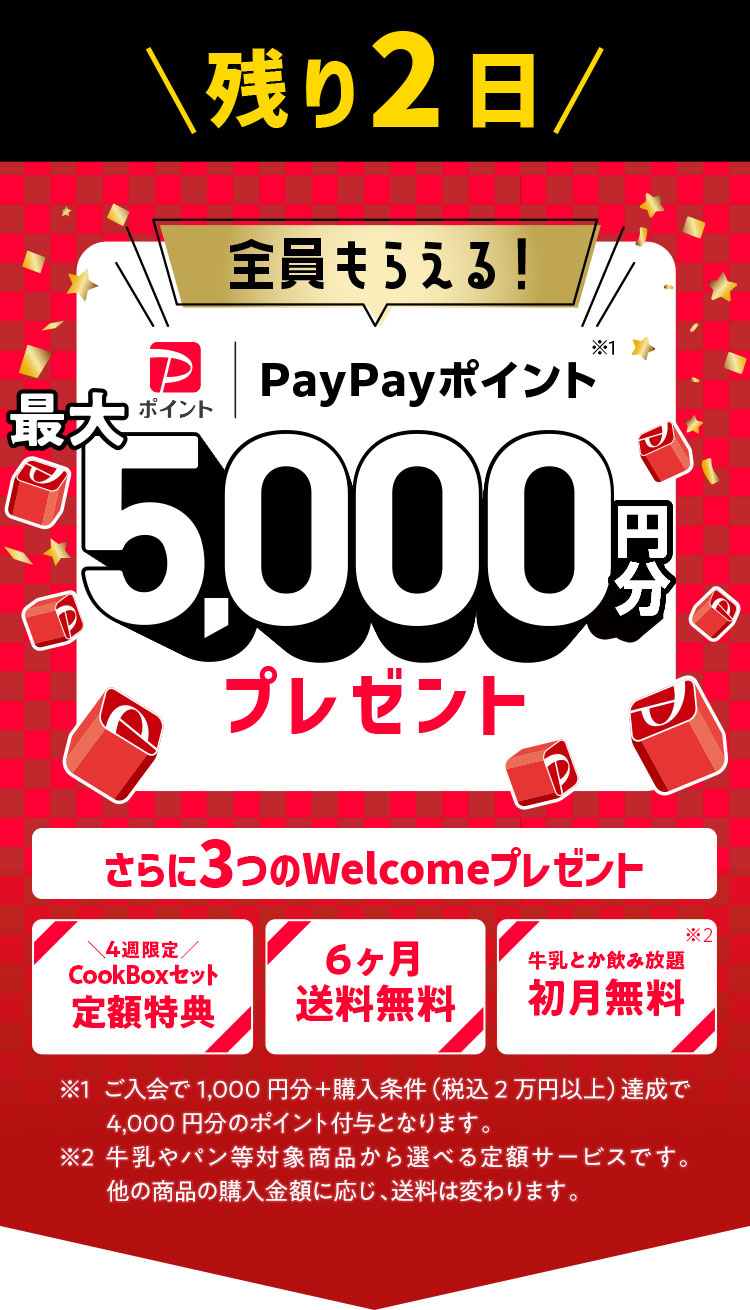 OisixPayPay|CgK炦