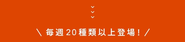 NvVo