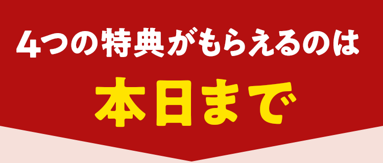 �{���ŏI��