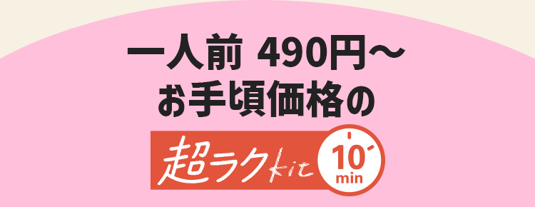 ��l�O 490�~�`���荠���i�̒����NKit