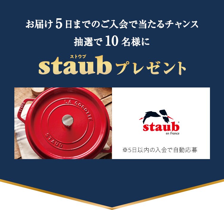 STAUB