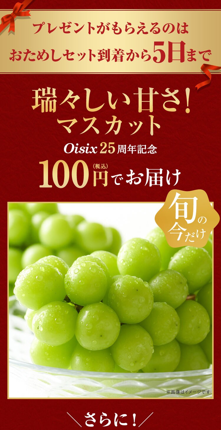 �����߂����͂�5���܂ł̃L�����y�[��