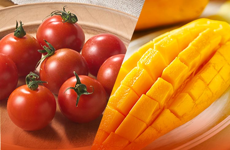 ��؂ƃt���[�c