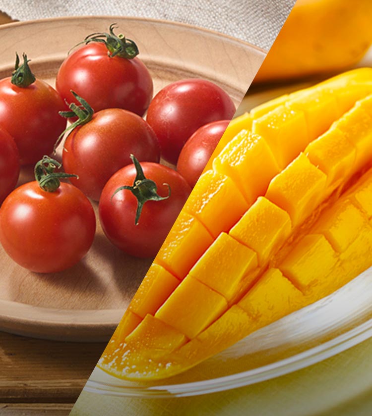 ��؂ƃt���[�c