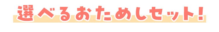 �I�ׂ邨���߂��Z�b�g�I