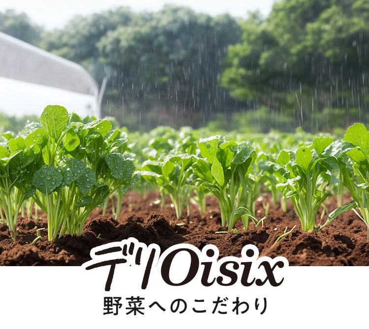 デリOisix 野菜へのこだわり