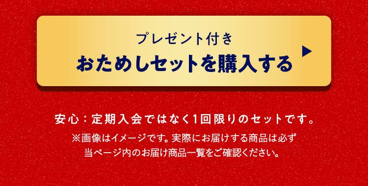 �����߂��𒍕�����