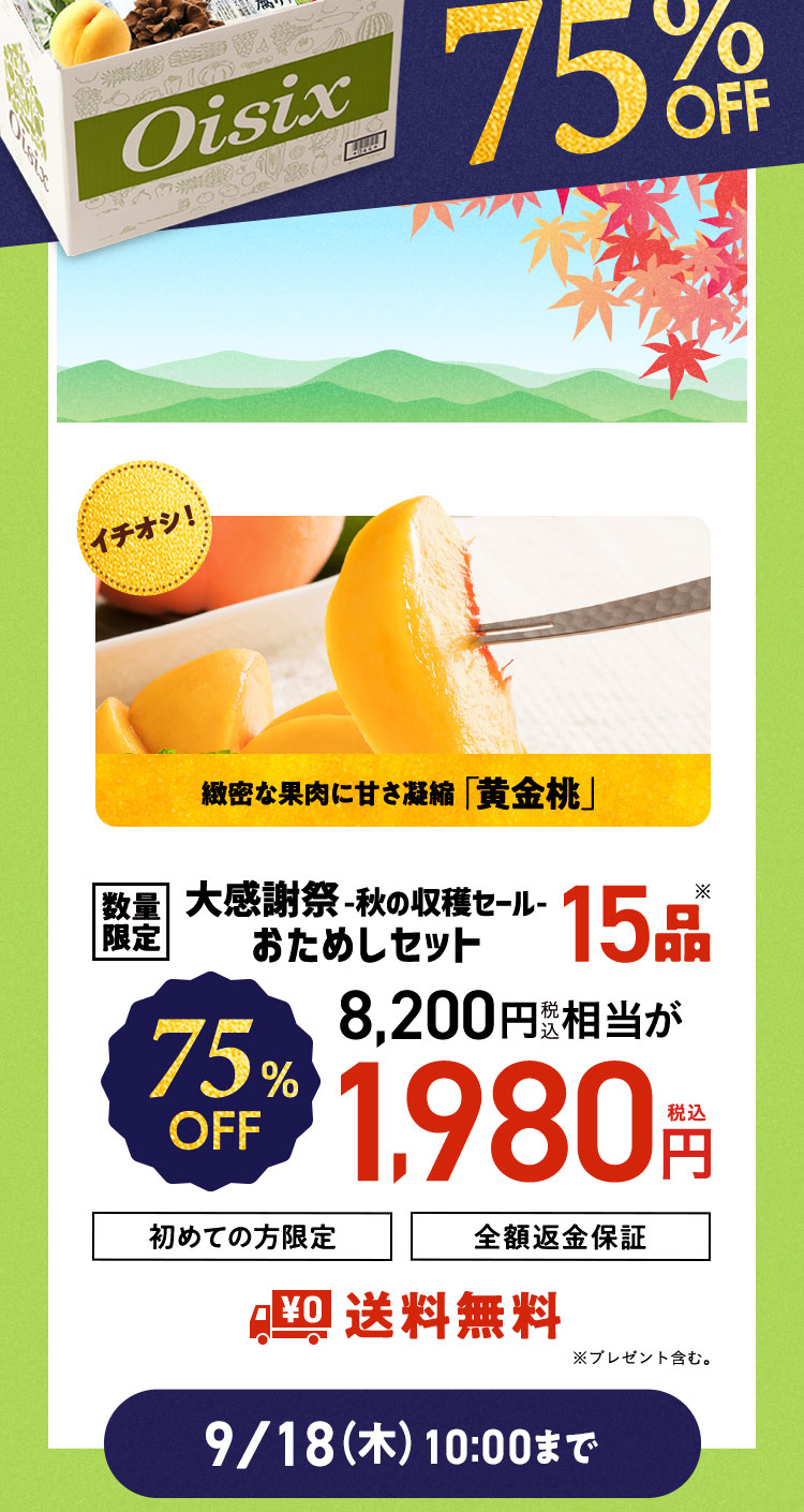 ʌ肨߂Zbg