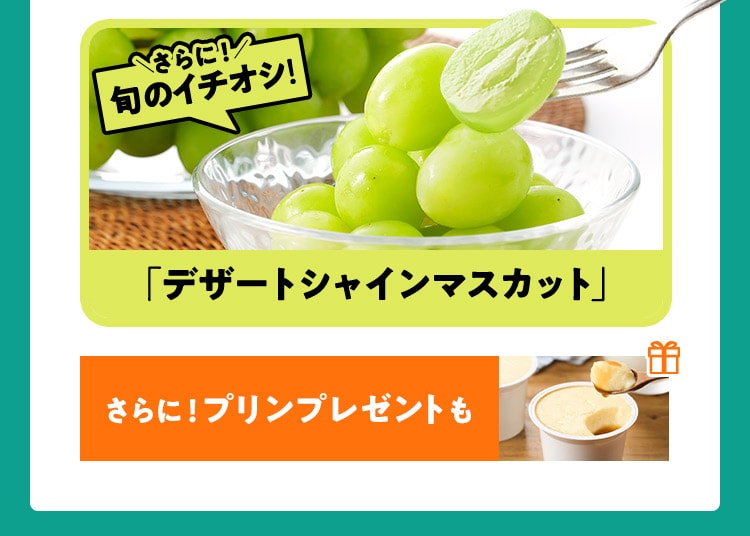 Oisixおためしセット