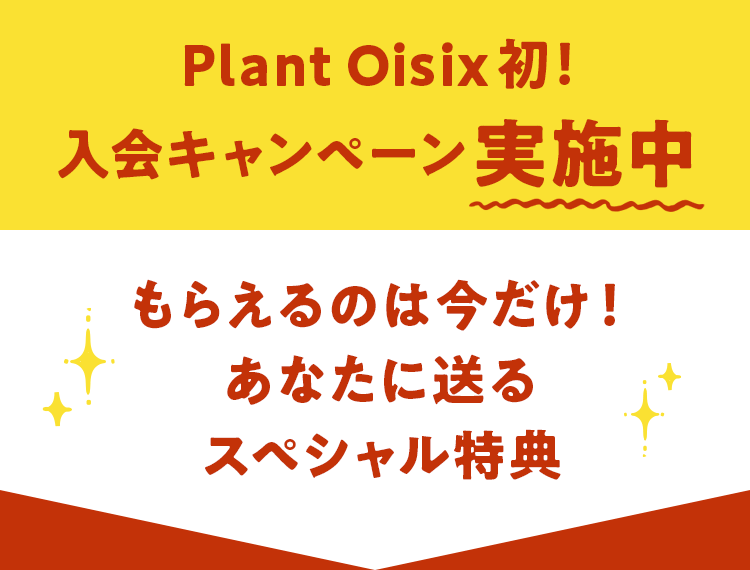 PlantOisix初!入会キャンペーン実施中