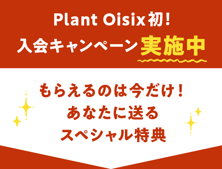 PlantOisixILy[{