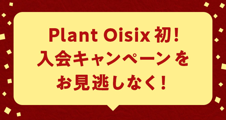 PlantOisix初!入会キャンペーンをお見逃しなく!