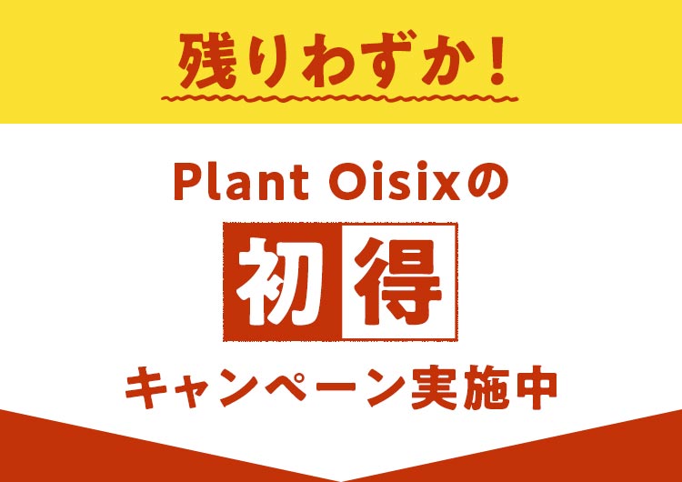 残りわずか!