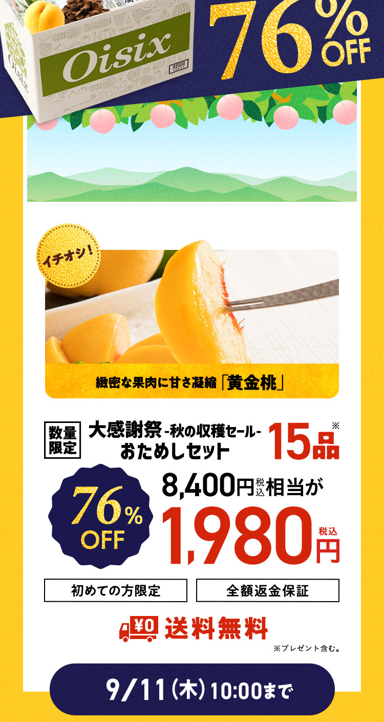 ʌ肨߂Zbg