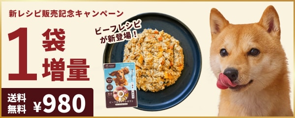 �o�C�I�t�B���A