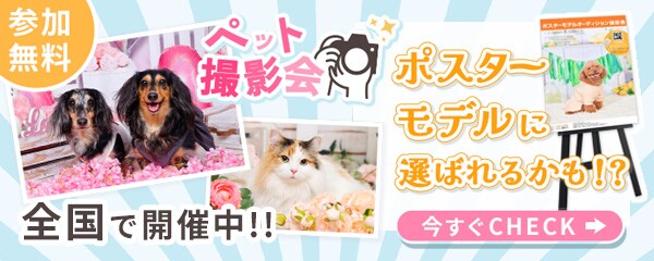 �G�N�X�����g