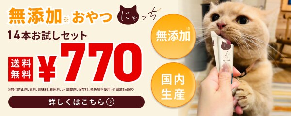 バイオフィリア