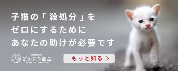 ǂԂ