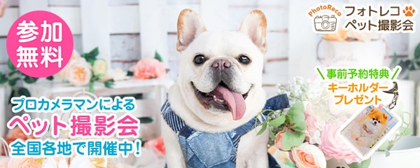 エクスラント