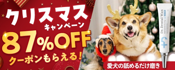 �T���e�~�i